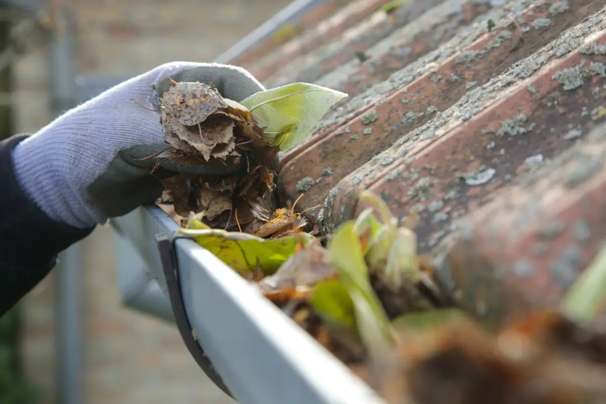 gutter-cleaning Professional gutter cleaning removing leaves and debris to prevent water damage and roof issues.